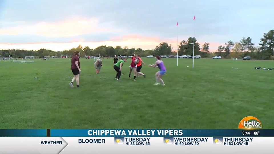 Chippewa Valley Vipers